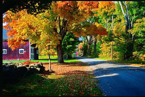 Fall Foliage in Litchfield Hills CT  copy 2