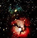 TRIFID-1