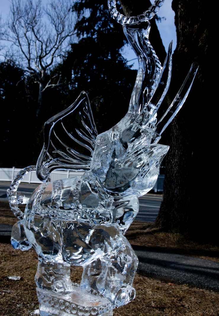 photo credit: Jonathan Doster