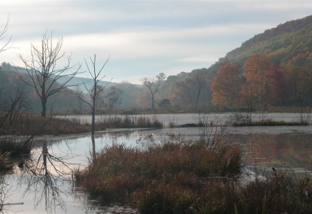 miles-wildlife-sanctuary