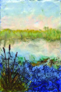 L. Petrocine - Wetlands