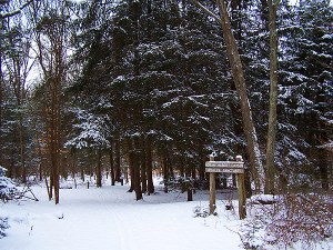 Center_at_Fairfield_and_Larsen_Wildlife_Sanctuary_under_snow_cover_Feb_2009_by_John_Laiacone_(7)