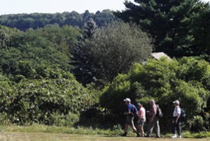 greenwich audubon hike