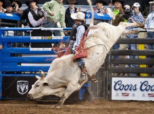 bull_riding_web