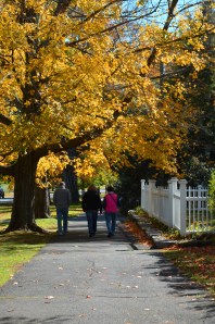 Litchfield Green 2 (1 of 1)