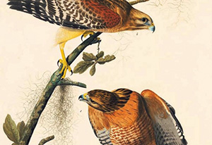 2013-09-19-oppenheimergallery-invite-greenwich_page_1