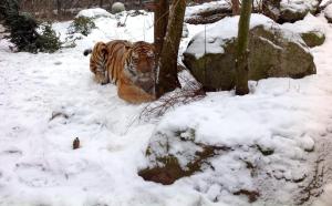 10410549_10205234517677890_2856579275860127101_n