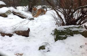 10947213_10205234517557887_2862558946763426260_n