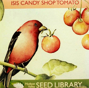 Isis Tomato Seed Pack