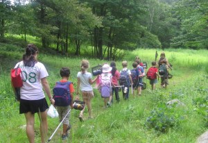 group_hike_through_bm_field