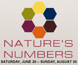 natures-numbers-home