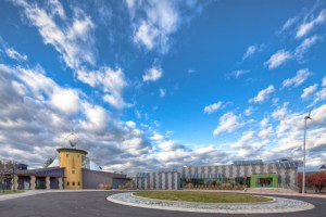 Exterior stepping stones