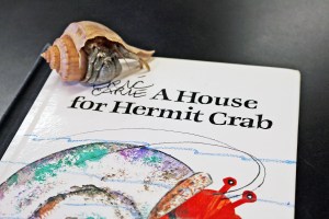 Aquar.Ocean Litera-Sea Wkd