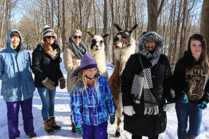 10_Nov 28 Llama Walk