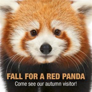 faaa5935-f91c-445b-a3ba-91c2973a2b04