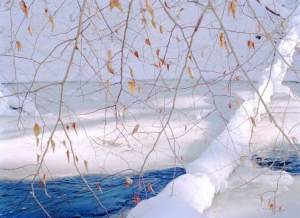 Mianus.2013.338242.2.54