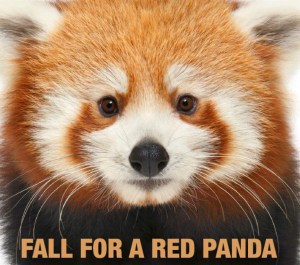 faaa5935-f91c-445b-a3ba-91c2973a2b04