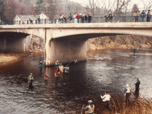 e8cdadf4a093d9428f3d67b6a6b08532