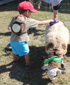 resized_2016-03-01_9-01-27-1456851687-1