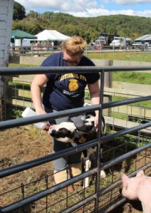 resized_2016-03-01_9-01-27-1456851687-2