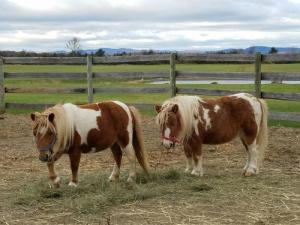 281d0377-11ef-42ef-afd0-8288057c0ca2