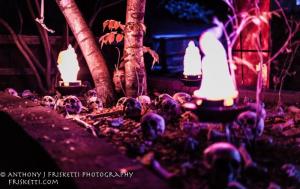 8f681567-949c-4d4c-853a-ce9bb952e3b6