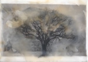 f4905c5b-b58b-425b-87af-89cf900f841a