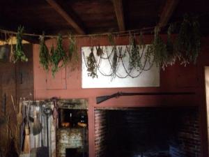 12036696_1195073883841782_2208938815042048084_n