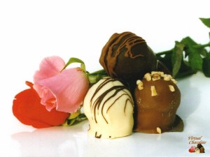 537734_128050494021309_2083653571_n