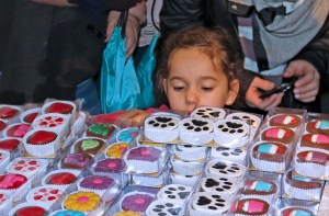 aquar-chocexpo17-choices