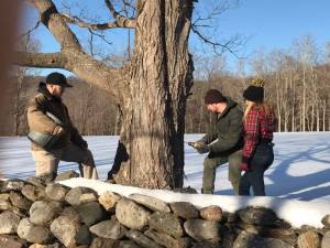 16831007_382465408793267_1703430629948658891_n