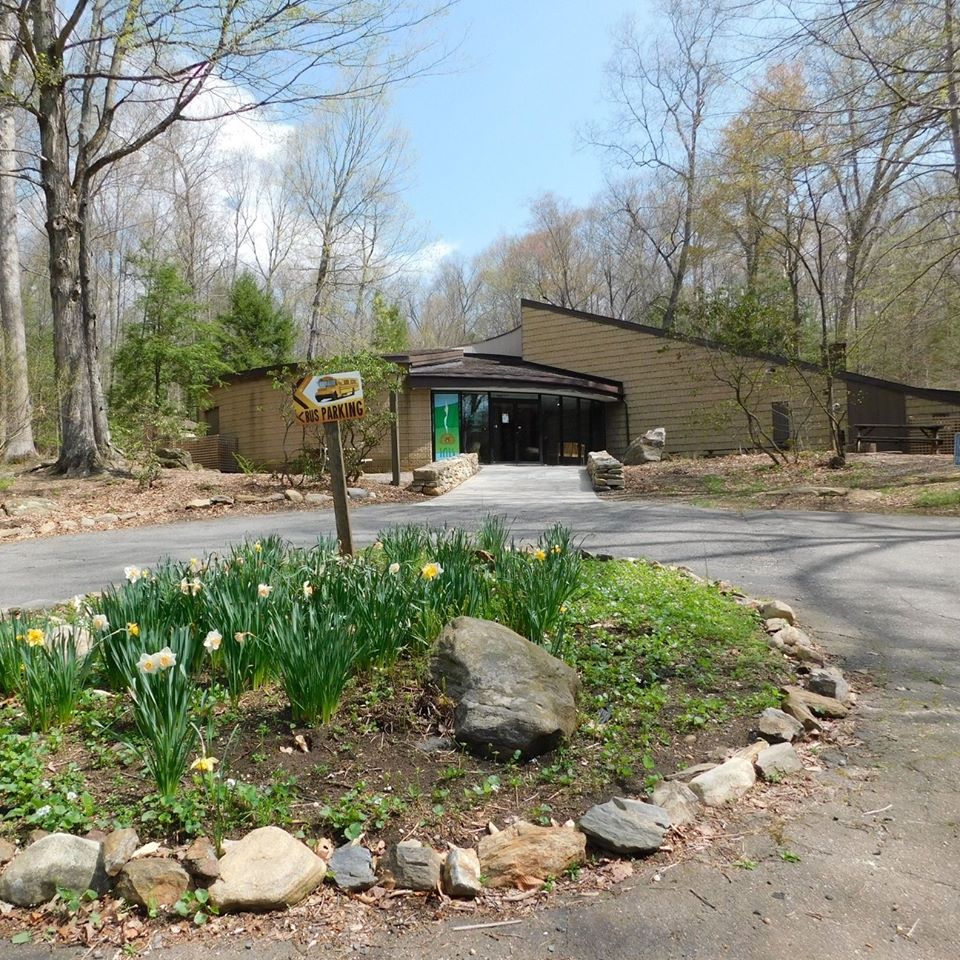 91376514_10158109434588908_3485828442782433280_o