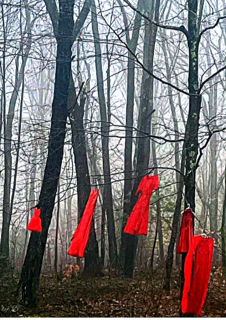 red dresses in trees The REDress Project