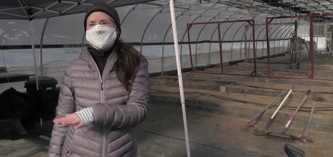 Screen Shot 2021-04-01 at 2.56.11 PM