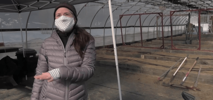 Screen Shot 2021-04-01 at 2.56.11 PM